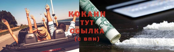 хмурый Абаза