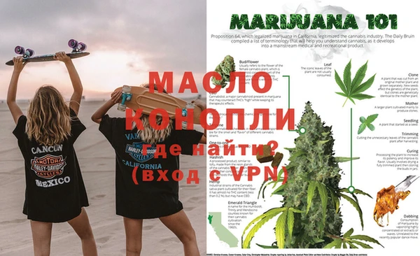 хмурый Абаза