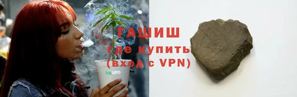 хмурый Абаза