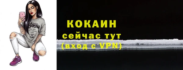 хмурый Абаза