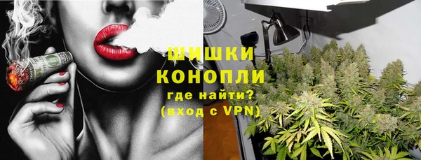 хмурый Абаза