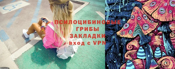 хмурый Абаза