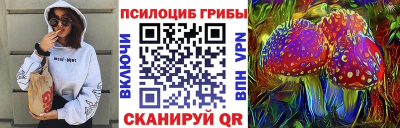 Псилоцибиновые грибы ЛСД  купить наркотик  KRAKEN ссылка  Вологда 