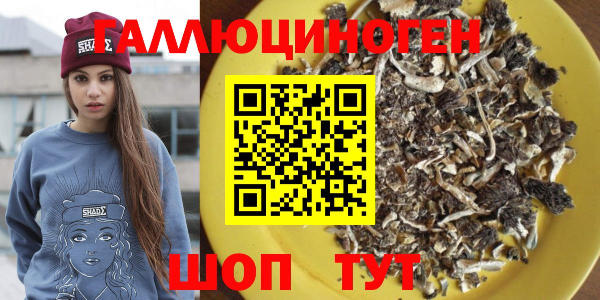 Вологда  Галлюциногенные грибы MAGIC MUSHROOMS  Вход с VPN 