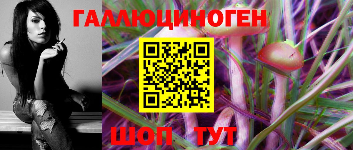 Псилоцибиновые грибы Cubensis Вологда