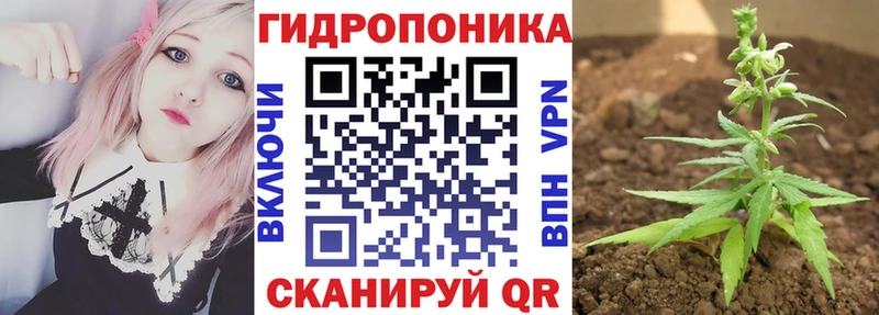 Каннабис Bruce Banner  Вологда 